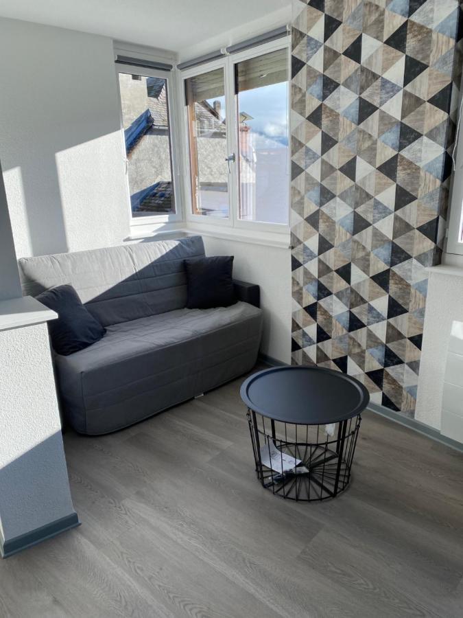 Residence Avec Un T3 Un T2 Et Un Studio En Centre Ville D Argelès-Gazost Εξωτερικό φωτογραφία