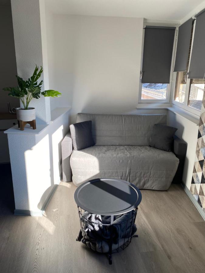 Residence Avec Un T3 Un T2 Et Un Studio En Centre Ville D Argelès-Gazost Εξωτερικό φωτογραφία
